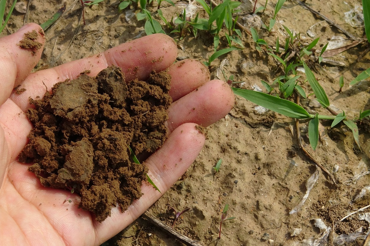 Home Composting Made Easy - An Eco-Friendly Guide